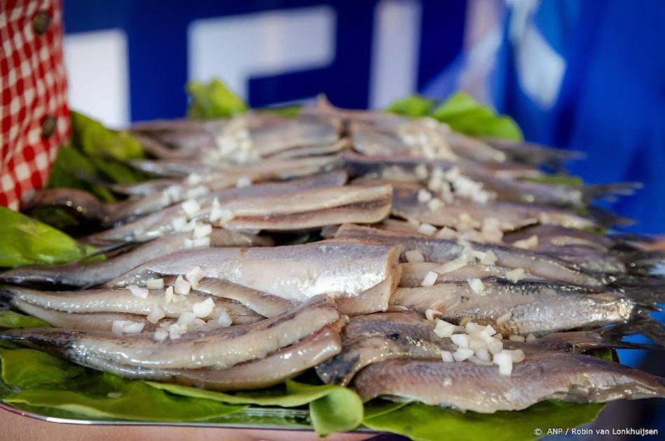 Haringseizoen ruim een week uitgesteld naar 22 juni