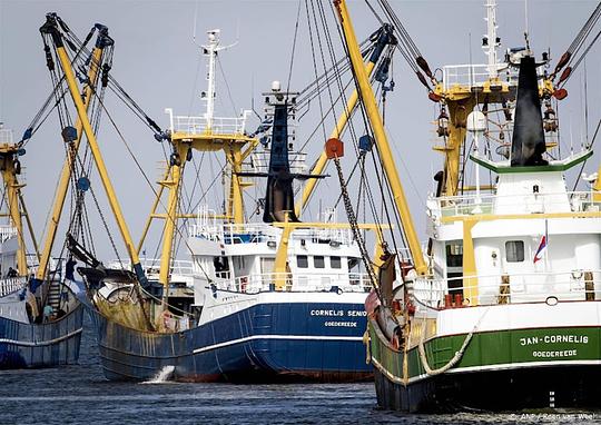 Kabinet trekt 30 miljoen uit voor visserijsector en vissersdorpen