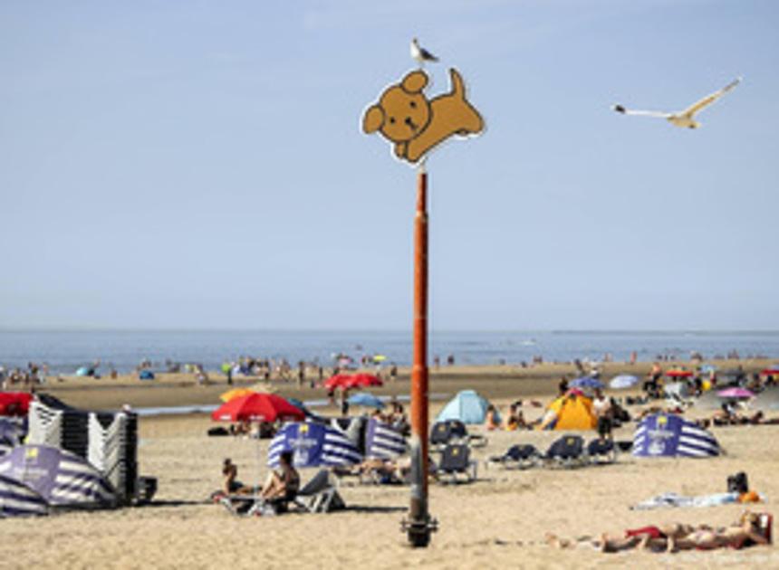 Ideaal terrasweer in augustus: warme, droge en zonnige maand 