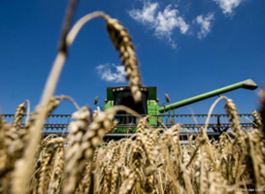 Rusland verwacht recordoogst tarwe, maar prijzen brood blijven nog hoog