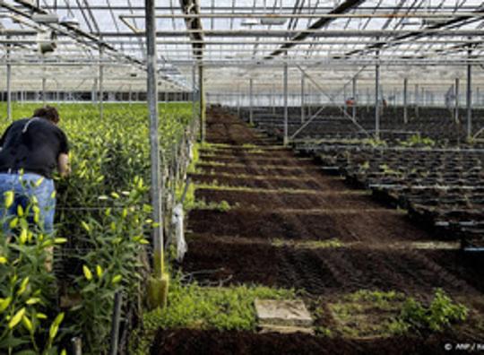 Opgelet: minder Nederlands groente en fruit beschikbaar binnenkort
