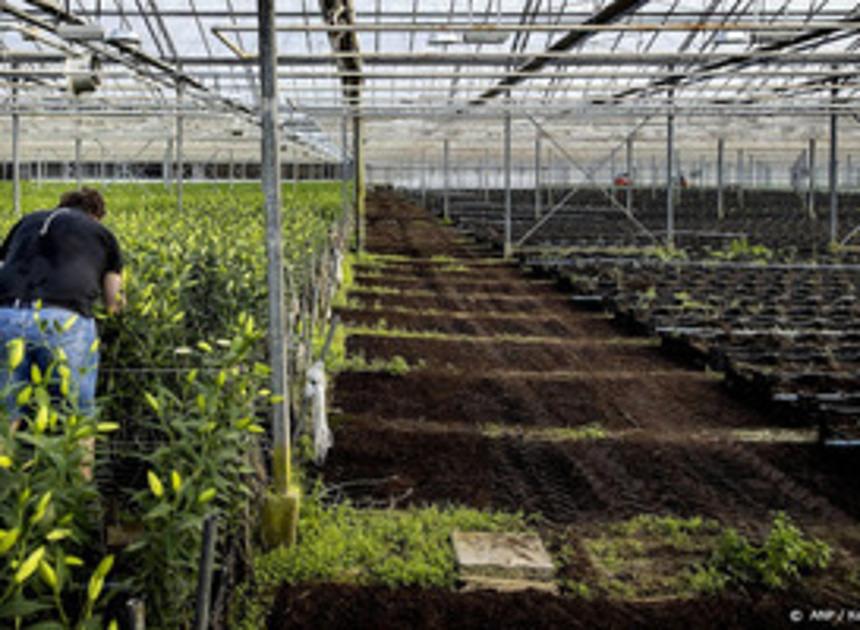 Opgelet: minder Nederlands groente en fruit beschikbaar binnenkort