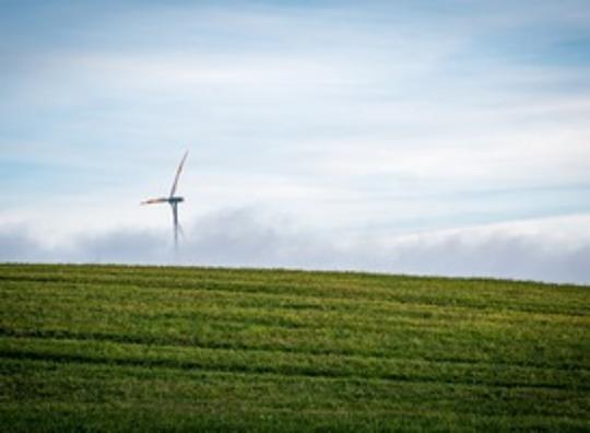 Schouten Europe en Grassa gaan zich samen richten op vleesvervangers van graseiwit