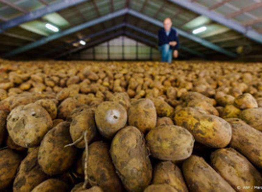 Resistente biologische aardappelen binnen vijf jaar in alle supermarkten