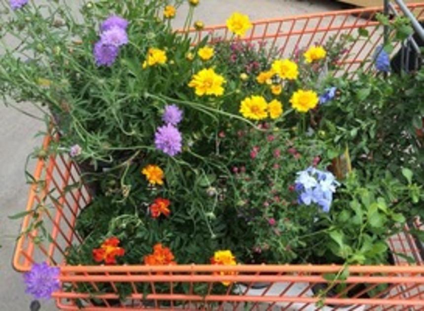 Flinke uitbreiding tuincentrum mag er komen, maar horeca nog niet