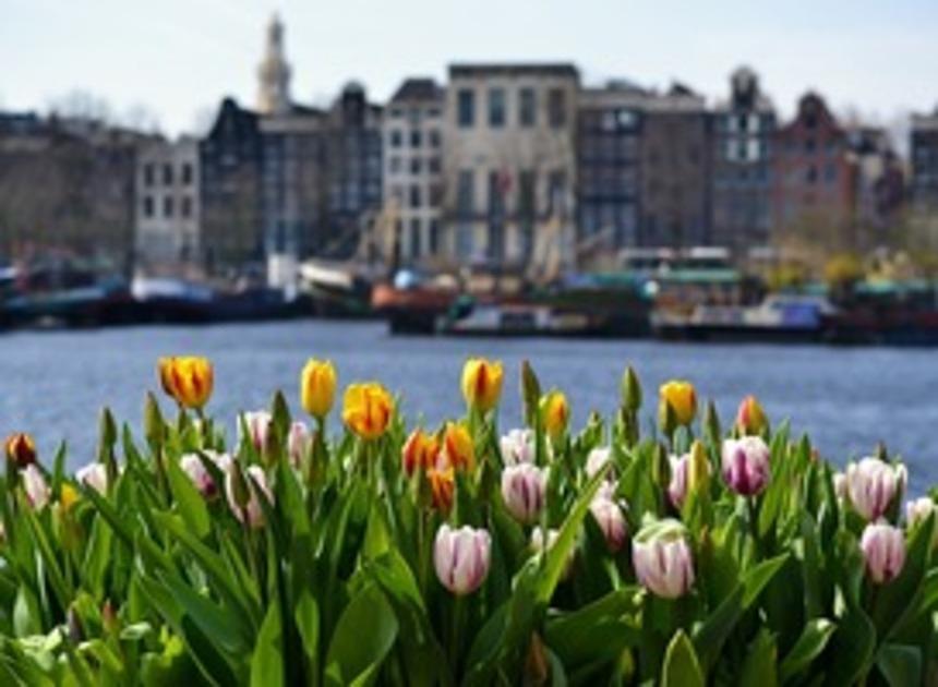 Luxury Suites Amsterdam wordt onderdeel van WorldHotels