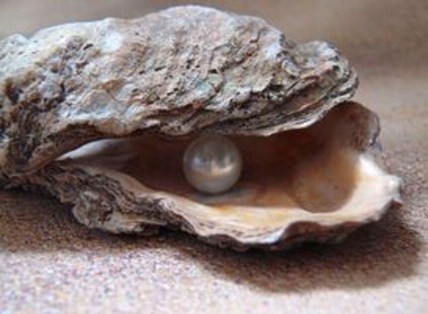 Amersfoortse kok vindt na 30 jaar werken met oesters eerste parel