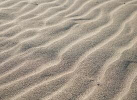 Provincie Drenthe zoekt exploitant voor hoogseizoen bij zwemplas in Gasselte