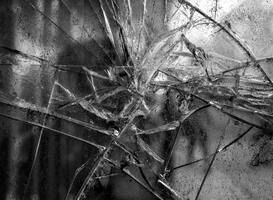 Daders vluchten zonder buit na inbraak bij café Amsterdam